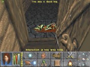 The Elder Scrolls: Chapter II - Daggerfall 4