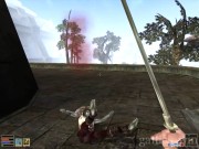 The Elder Scrolls III: Morrowind 9