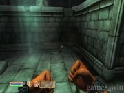 The Elder Scrolls 4: Oblivion 3