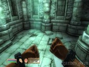 The Elder Scrolls 4: Oblivion 4