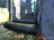 The Elder Scrolls 4: Oblivion 8