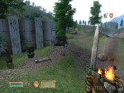 The Elder Scrolls 4: Oblivion 9