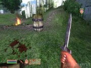 The Elder Scrolls 4: Oblivion 10