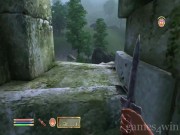 The Elder Scrolls 4: Oblivion 11