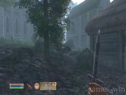The Elder Scrolls 4: Oblivion 14