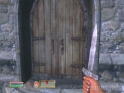 The Elder Scrolls 4: Oblivion 15