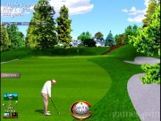 The Golf Pro 13