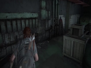 The Last of Us: Part 2 14