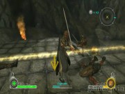 The Lord of the Rings: Conquest 13