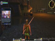The Lord of the Rings Online: Mines of Moria 6