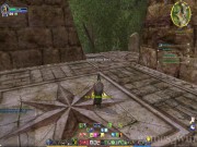The Lord of the Rings Online: Shadows of Angmar 1