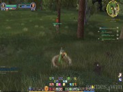 The Lord of the Rings Online: Shadows of Angmar 2