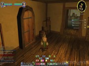 The Lord of the Rings Online: Shadows of Angmar 6