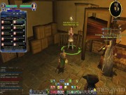 The Lord of the Rings Online: Shadows of Angmar 8