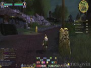 The Lord of the Rings Online: Shadows of Angmar 9