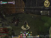The Lord of the Rings Online: Shadows of Angmar 11