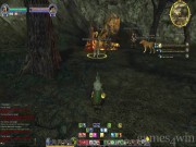 The Lord of the Rings Online: Shadows of Angmar 12