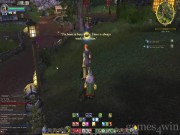 The Lord of the Rings Online: Shadows of Angmar 14