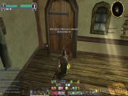 The Lord of the Rings Online: Shadows of Angmar 16