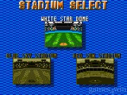 The Majors Pro Baseball 3