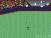 The Majors Pro Baseball 12