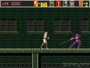 The Revenge of Shinobi 2