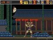 The Revenge of Shinobi 14