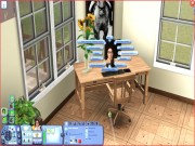 The Sims 3 4