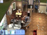 The Sims 3 16