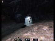 The Wheel of Time 15