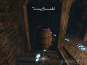 Thief: Deadly Shadows 5