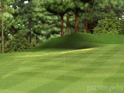 Tiger Woods PGA Tour 2000 14