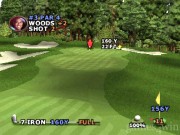 Tiger Woods PGA Tour 2000 12