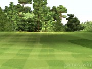 Tiger Woods PGA Tour 2000 2