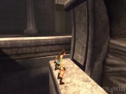 Tomb Raider: Anniversary 8