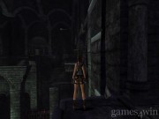 Tomb Raider: Anniversary 9