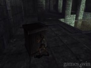 Tomb Raider: Anniversary 10