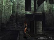 Tomb Raider: Anniversary 12