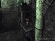 Tomb Raider: Anniversary 16