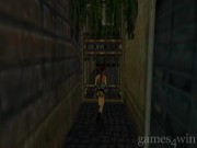 Tomb Raider: Chronicles 8