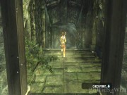 Tomb Raider - Legend 5