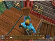 Ultima IX: Ascension 15