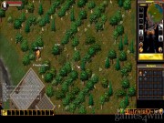 Ultima Online 13