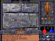 Ultima Underworld II: Labyrinth of Worlds 11