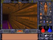Ultima Underworld II: Labyrinth of Worlds 2