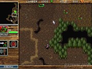 WarCraft: Orcs & Humans 12