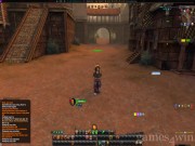 Warhammer Online: Age of Reckoning 11
