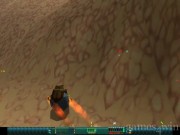 Wild Metal Country 13