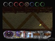 Wizardry: Nemesis 12