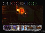 Wizardry: Nemesis 13